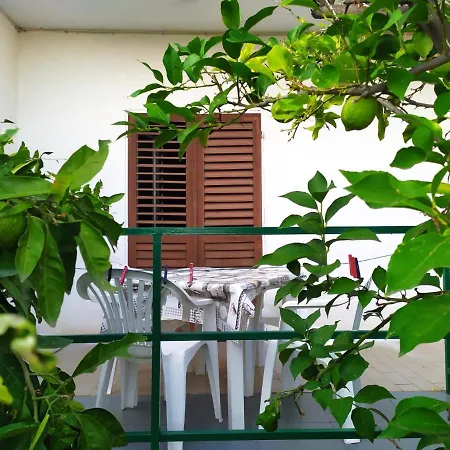 Appartement Silvija - 50 M From Sea Orebić